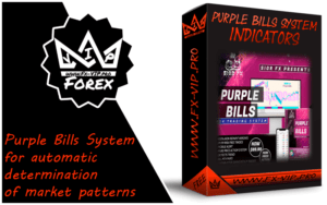 Purple Bills System